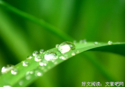 关于将相的优美句子