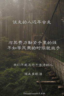 七七所爱经典的句子