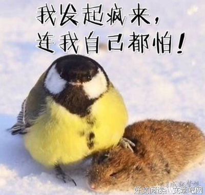 《人生哲起他》的句子