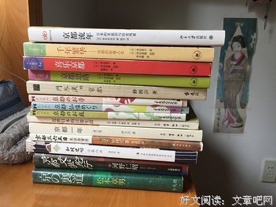 《舒国治精选集》经典读后感10篇