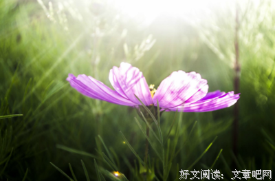 乐观的名言_关于乐观的名言