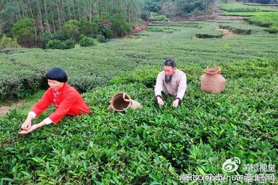 关于奇风的名句摘抄