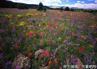 描写清川的经典句子