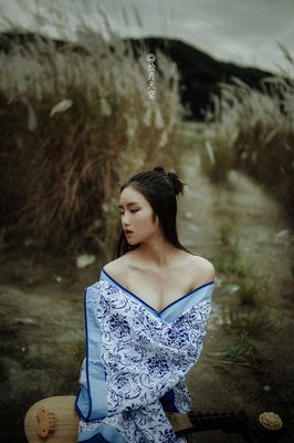 吾愿风风气句子