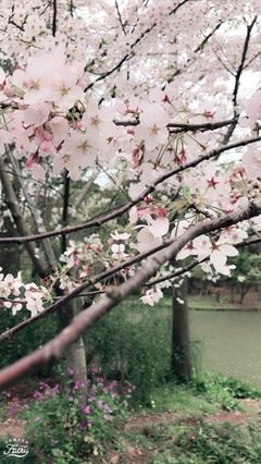 有关想你总在雨后的句子