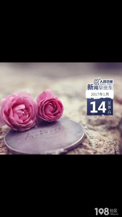 每日一语