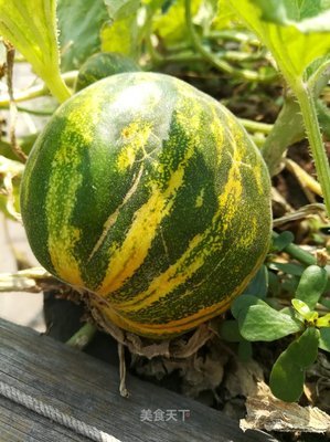 这个夏天 没有你是不完整的