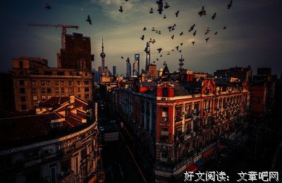 云雀叫了一整天的句子