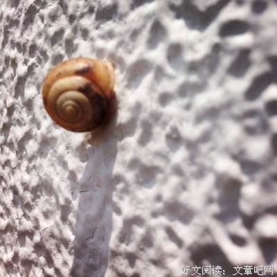 文学的句子
