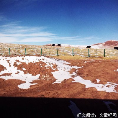 纪言的句子