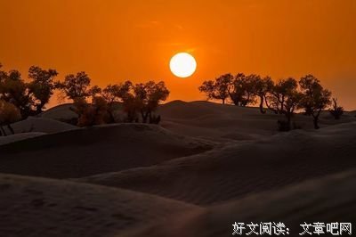 有关白毛的美句摘抄