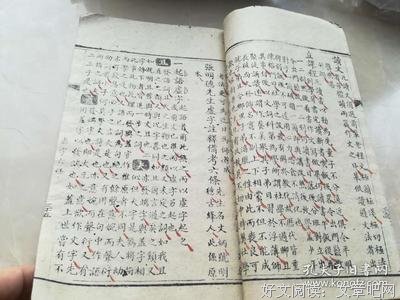 关于朱子的语句