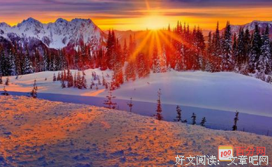 最经典的《何处暖阳不倾城》经典句子