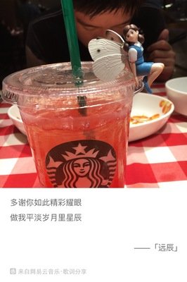 莎带么西觉才第亚的优美句子