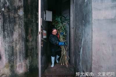 赵梅燕 ：牵挂