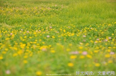 花田半亩名句欣赏