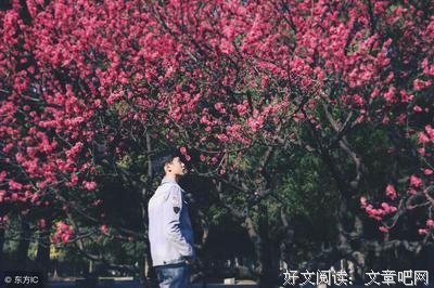 纳兰词句子