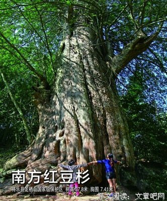 人生百态名句欣赏