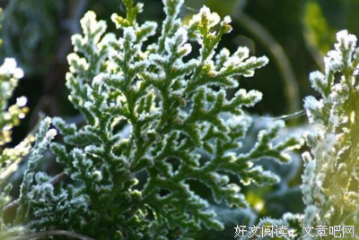 一是想万年。句子