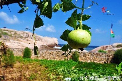 关于蓝心的名句摘抄