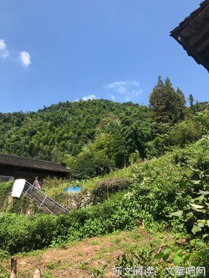 关于亲切的座右铭