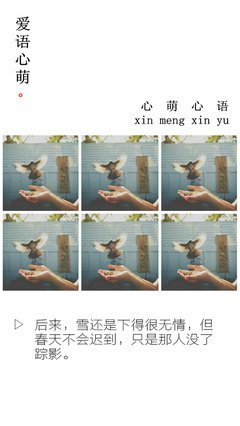 关于无情的唯美语录