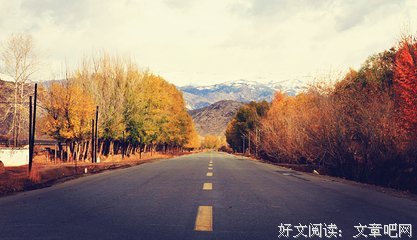 写文素材优美的句子