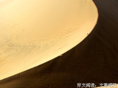 有关摘抄的句子
