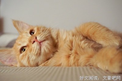 两年前，我在知乎被人狂骂