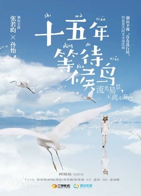 最经典的《十五年等待候鸟》小说句子大全