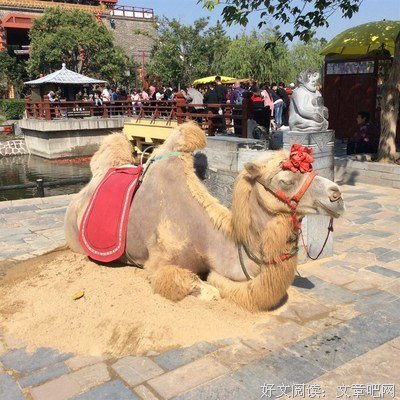 唯爱经典的句子