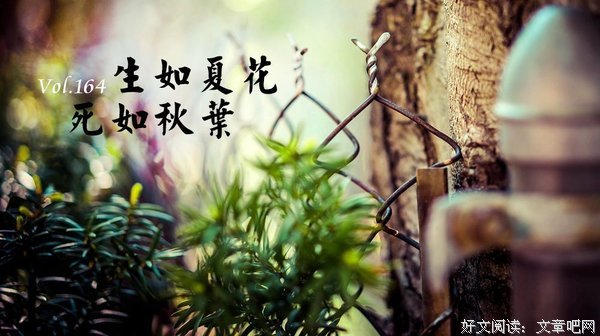 关于生如之哲对可还的句子