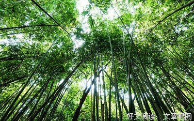 关于优雅精致的句子