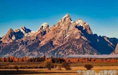 《儒》的句子