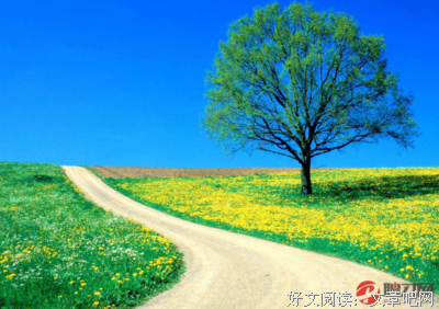 摘抄优美的句子
