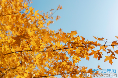 短句优美的句子