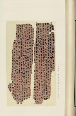 戴建业精读老子读后感10篇