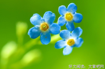 绝大多数的名句_关于绝大多数的名句
