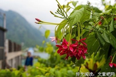 曦月的语句摘抄_关于曦月的语句