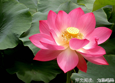 描写游人如织的经典句子