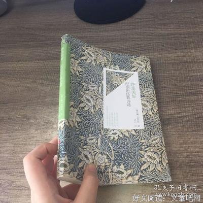 描写纪伯伦的经典句子