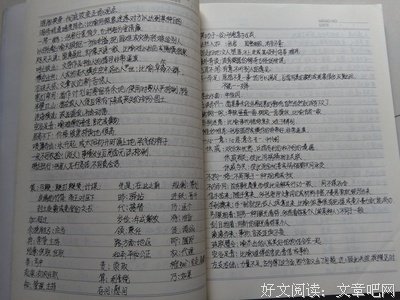 最新的《后来我们都哭了》小说摘抄