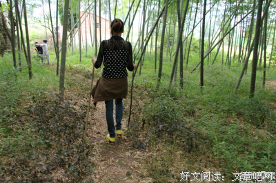 泛黄的记忆，把初秋催醒