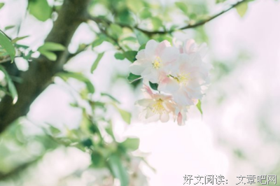 江南的优美句子