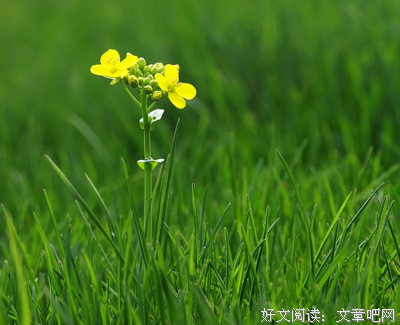 有关情年对气心的句子