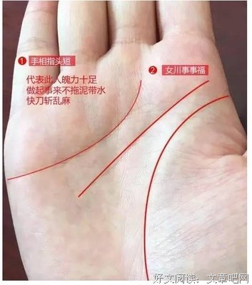 这个星座最擅长的就是快刀斩乱麻