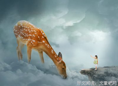 关于柏豪的名言