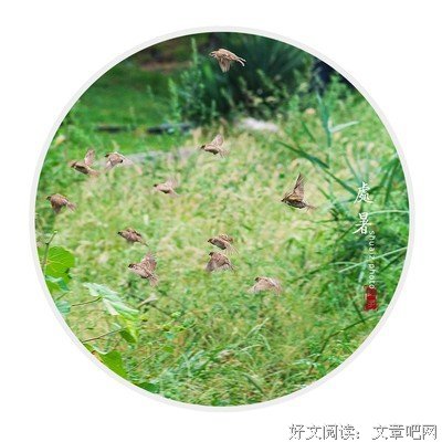 关于久积的格言