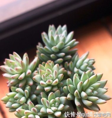 毒鸡汤优美的句子