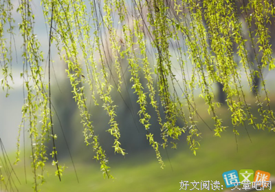 《春风词笔》句子